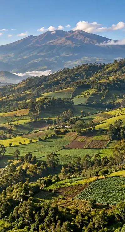 Cauca · paisaje ilustrativo